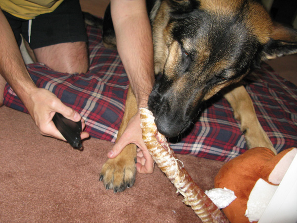 Wyatt gets his nails trimmed