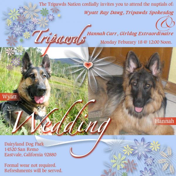 tripawds2bwed.jpg