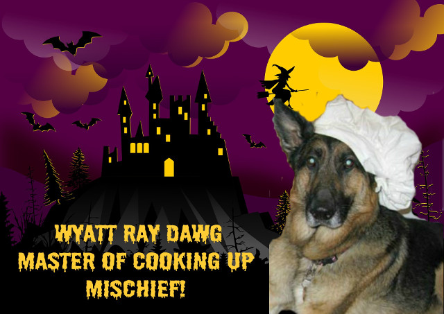 WyattHalloween2017.jpg