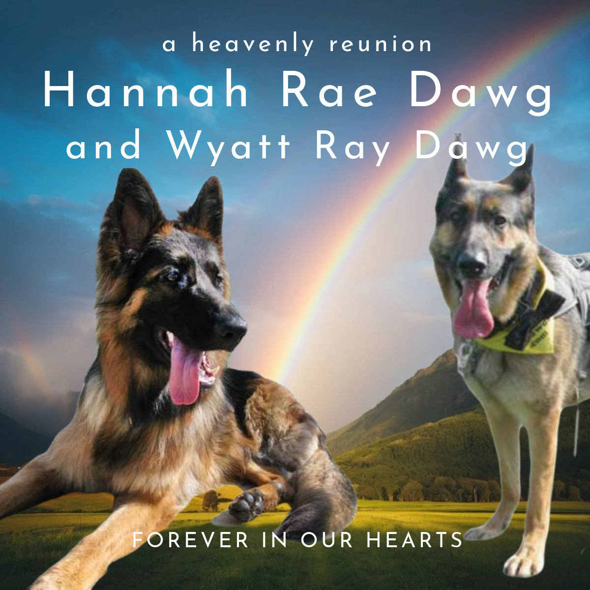 Hannah Rae and Wyatt Ray Dawg, Tripawds heroes forever in our hearts